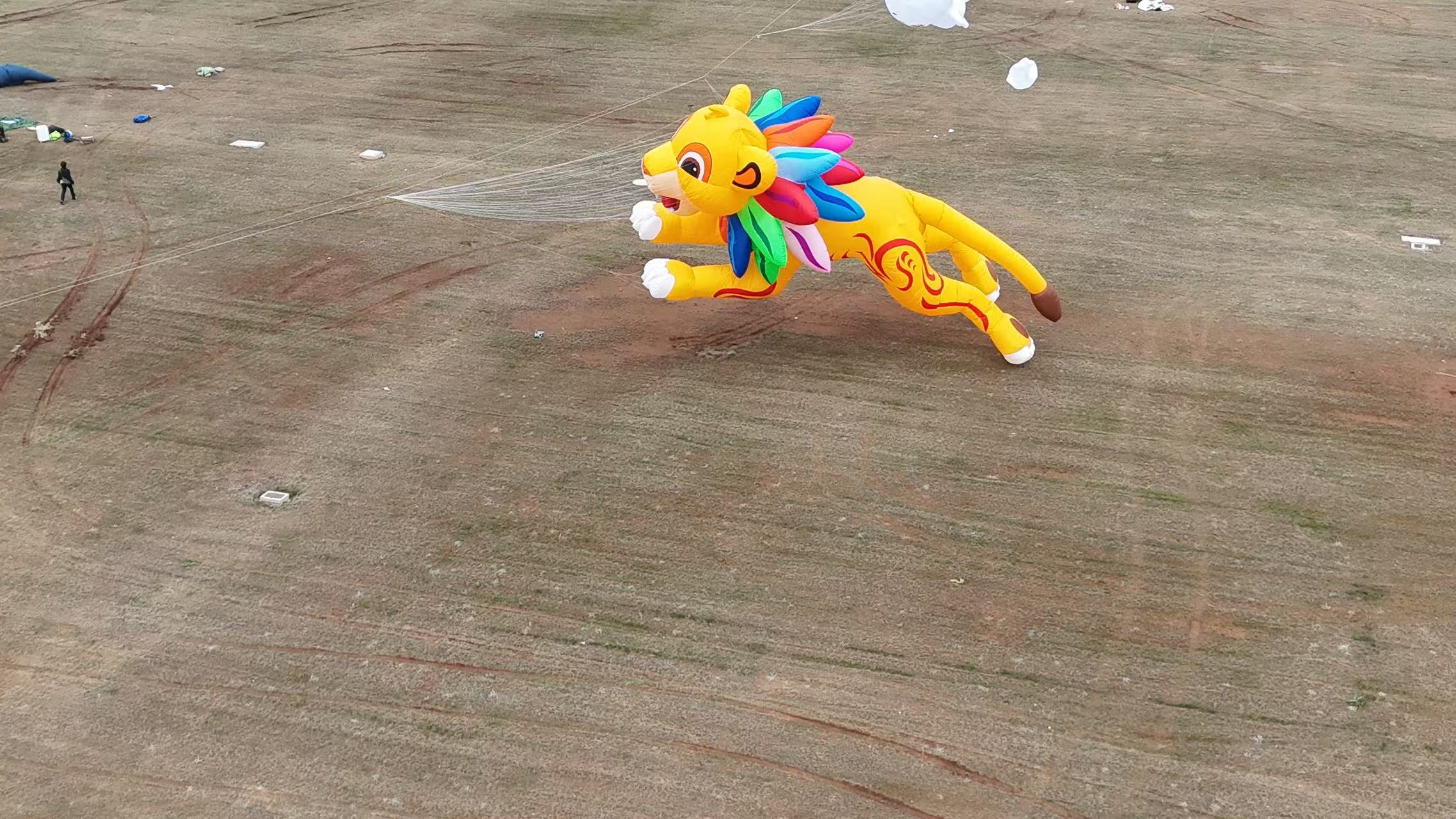 遵义市品牌风筝定制风筝加工 - 一站式服务