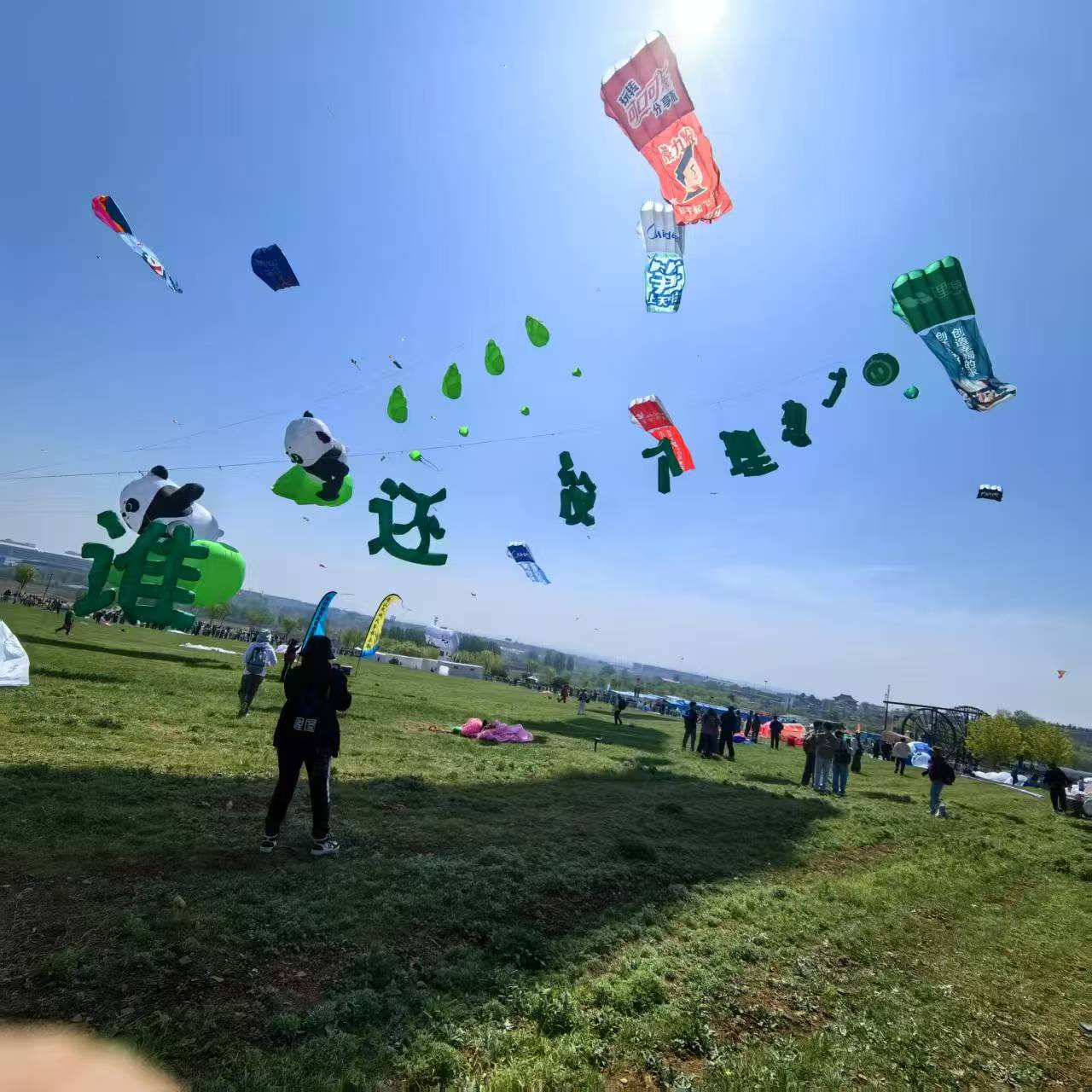 遵义市软体风筝定制风筝定制 - 哪里好